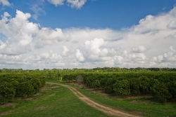 real estate in Belize-view from atop bins