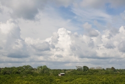 Belize land-view from storage bin