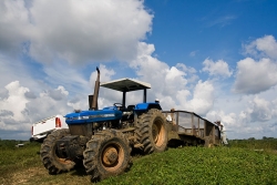 Belize real estate for sale-165 Ford Tractor