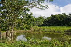 Belize properties-pretty little lakes