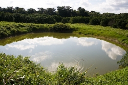 land in Belize for sale-great for fishing