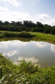 properties in Belize-nice little lake