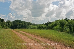 property line