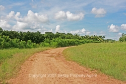 main road