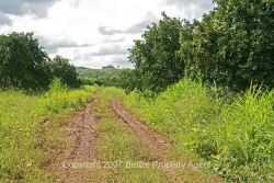 access road