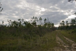 access road borders to north