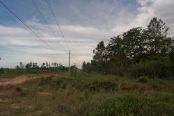 looking south on coastal