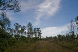 access road borders to north
