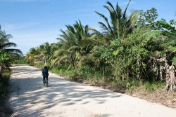 5-acres-sarawee-7282_0