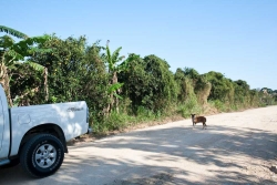 5-acres-sarawee-7284_0