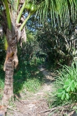 5-acres-sarawee-7287.jpg