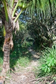 5-acres-sarawee-7287_0