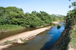 5-acres-sarawee-7288_0