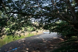 5-acres-sarawee-7302_0