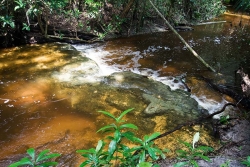 beautiful river flowing through