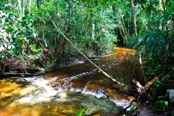 river flows through property