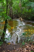 gorgeous river flowing through