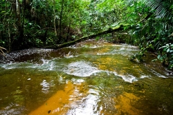 beautiful river flowing