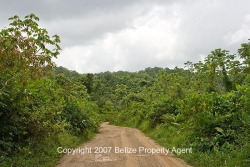road through property