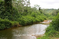 swim in river