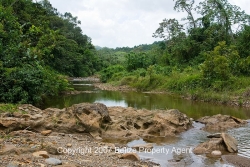 amazing river