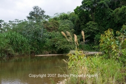 stunning river