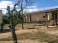 image10