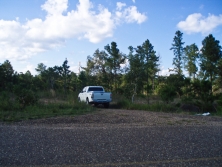 belize real estate 53 acres Georgetown
