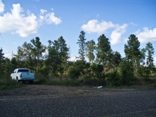 look east from S. highway