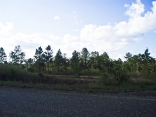 from S. highway look east
