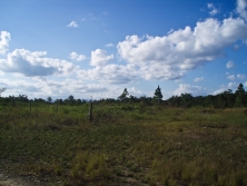 looking north east