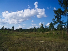 looking north east