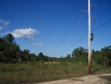 looking north