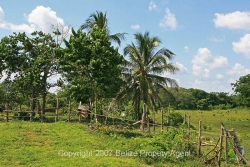 cleared lands