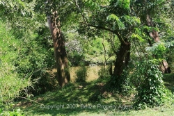beautiful river