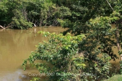 beautiful river