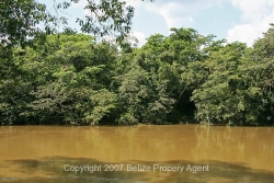 gorgeous river