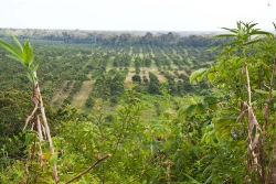 24-acres-pomona-6902