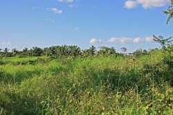 7acres_river_02.jpg