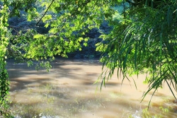 7acres_river_08.jpg