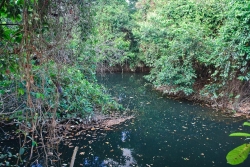 Belize properties - beautiful river