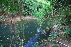 Belize Property - nice wide river