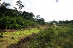 property line by road