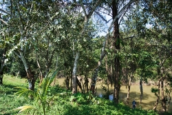 picturesque river