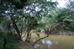 magnificent river frontage