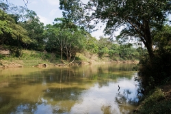 gorgeous belize river frontage