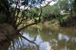 spectacular river frontage