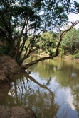 beautiful belize river real estate 