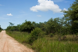Belize land-borders access road