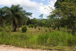 Real estate in Belize-from access road